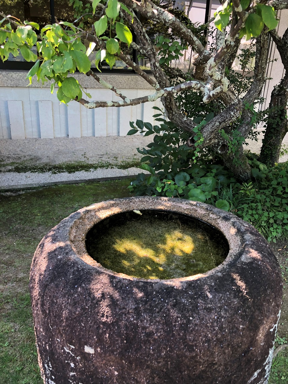 豊田市民芸館