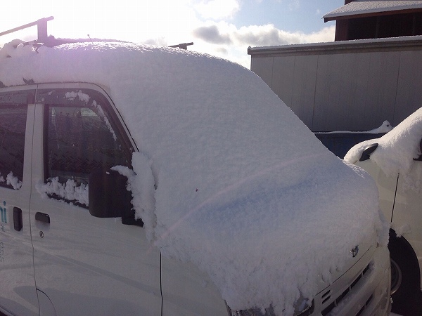 雪の日　雪　